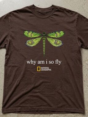 Dragonfly Why Am I So Fly Insect Scientific Illustration Vintage Brown T-Shirt